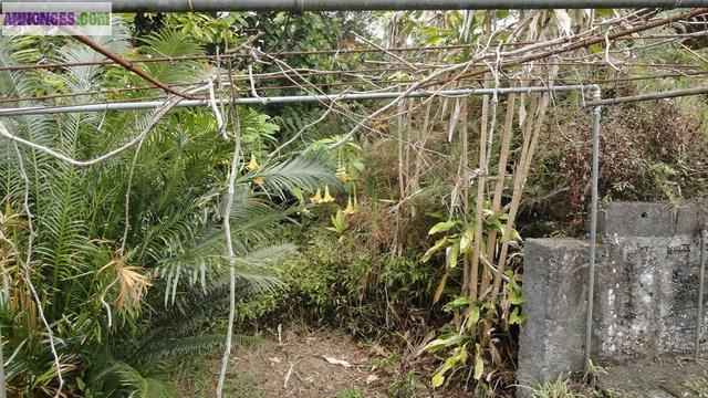 A LA CAMPAGNE SAINTE MARIENNE 6 PARCELLES DE TERRAIN A BÂTIR