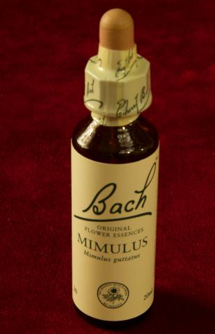 Fleur de bach 20ml