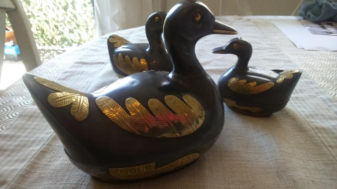 Jolis canards chinois