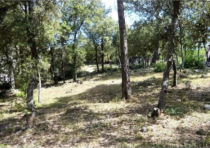 Grand terrain constructible