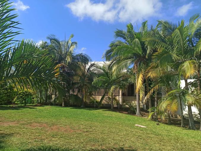 Location immobilière