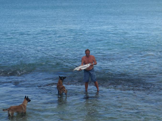 CHAMBRE d'HÔTES ds villa sur PLAGE caraïbe  ST MARTIN 35€