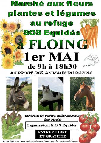 Marché aux fleur plantes et légumes