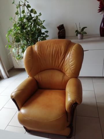 Vends canapé fixe et fauteuil assorti