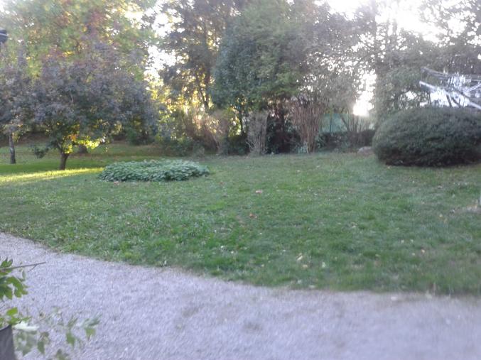 PRESTATION DE SERVICES