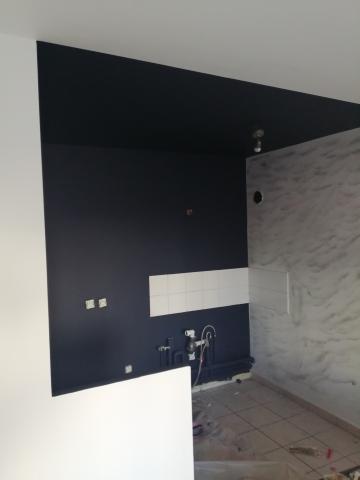 Peintre professionnel 