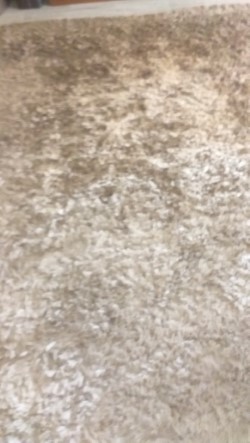 TAPIS "" roche bobois """