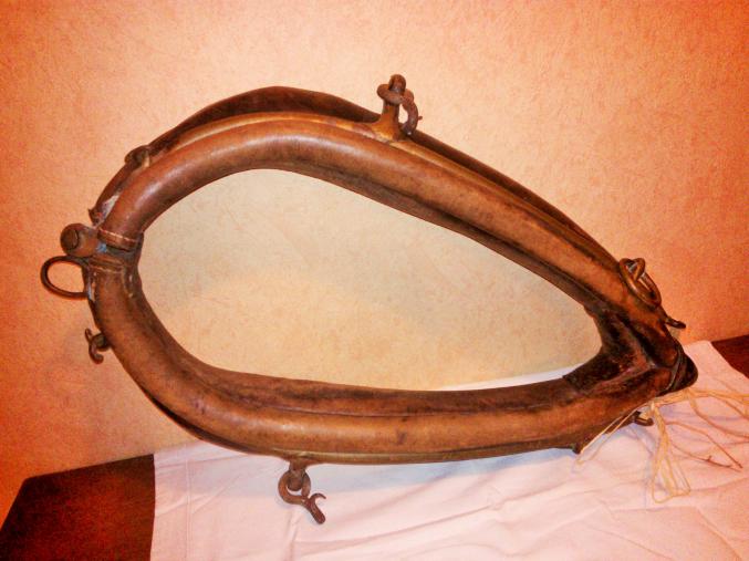 Colier d'ane du poitou