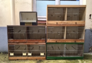 Cages et volière