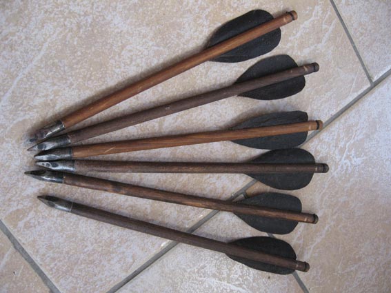 Reproduction arbalete