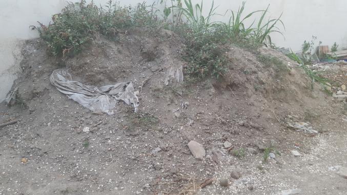 Donne terre végétale