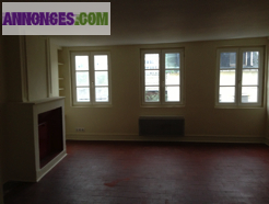 Très agréable T3 rénové entièrement