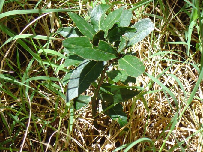 Echange travaux contre garage