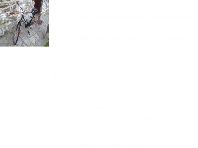 Ancien velo style hollandais