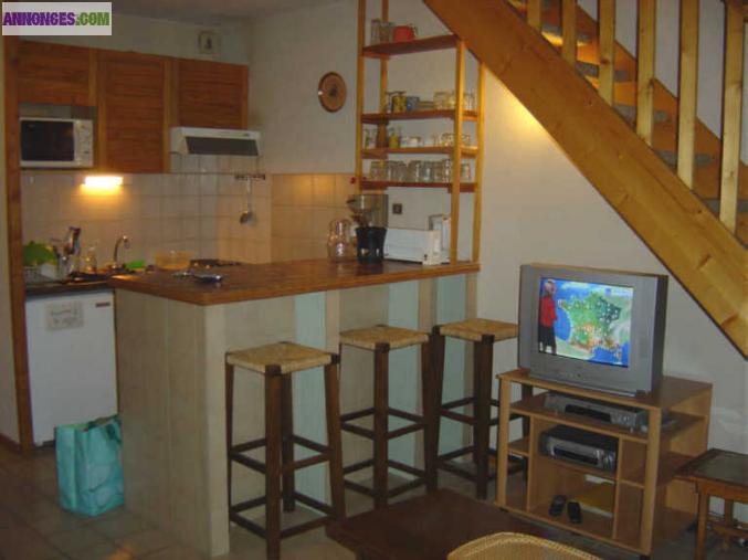 Grand appartement-mezzanine plein soleil sur alpages