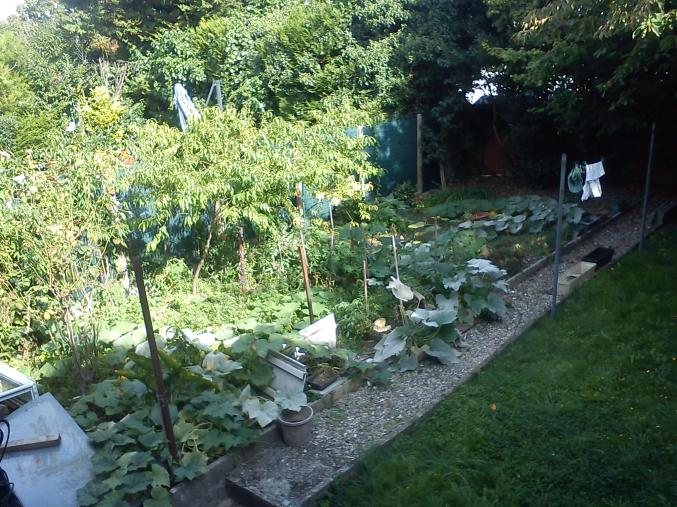 Coiffeur à votre domicile eric