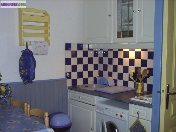 Loue appartement au Praz De Lys