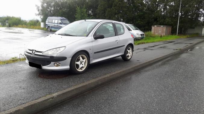 Peugeot 206 / Prix: 1000€