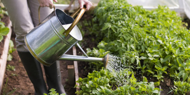 Axeo services vous propose une large gamme de services