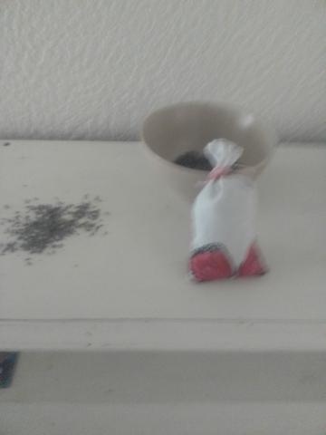 Aux pays de la lavande