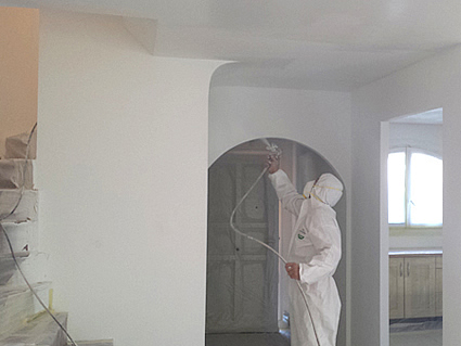 PEINTRE PRO A VOTRE SERVICE