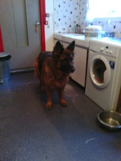 Recherche demenageur