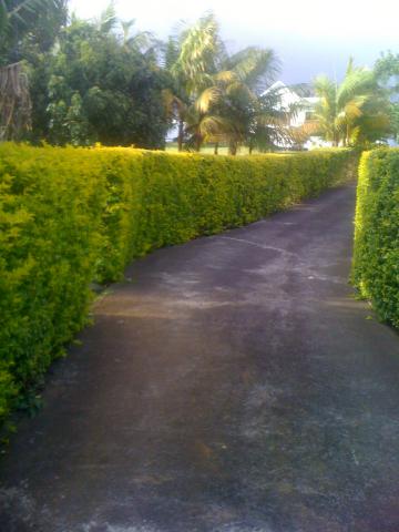 À peine 400m d'altitude maison 120 m² terrain 2300m m2