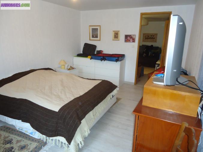 Vends maison de village