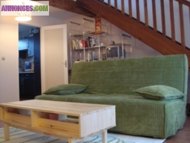 Studio meublé (Duplex 36 m²) à Fontenay le fleury
