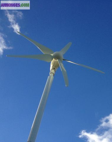 Eolienne domestique