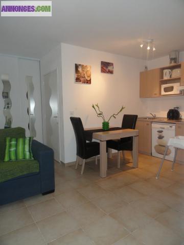 T2 neuf, proche plage et vue sur tour de France