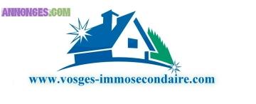 Hautes Vosges L'appartement récent sur les hauts de Xonrupt