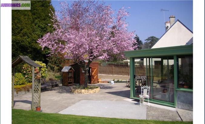 Maison spacieuse et lumineuse