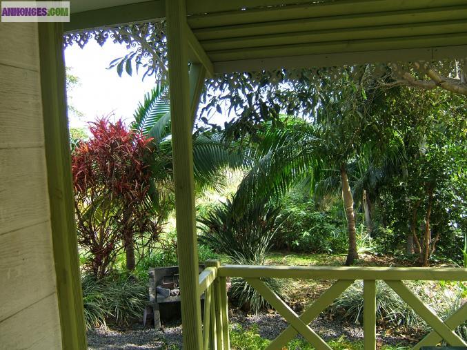 BUNGALOW "PLEINE NATURE"