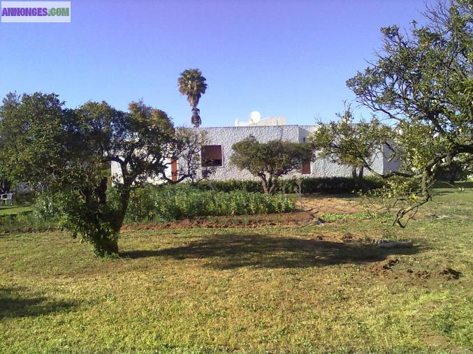 Avendre villa titrée a RABAT MAROC