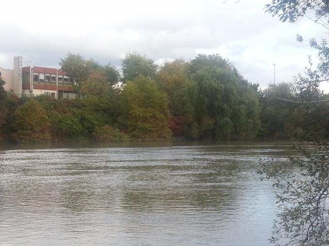 F4 quartier résidentiel