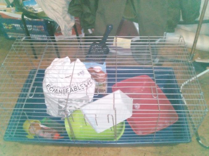 Matériel pour lapin nain