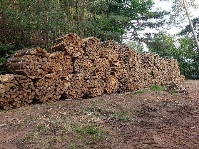 Bois de chauffage
