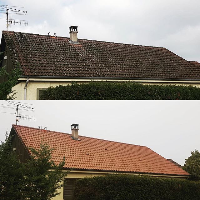 Demoussage entretien rénovation