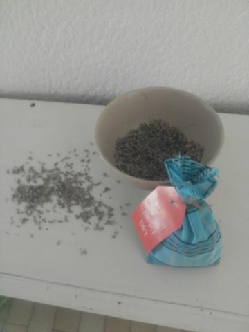 Aux pays de la lavande