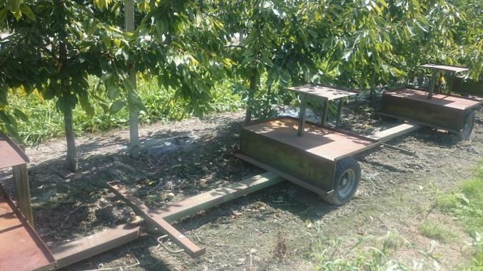 Chariot porte pallox cueillette de fruits