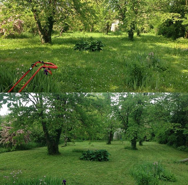 Espace vert , jardinier