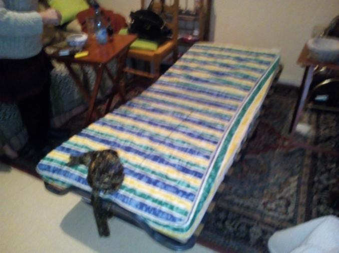 VENDS LIT PLIANT + SOMMIER A LATTES+MATELAS