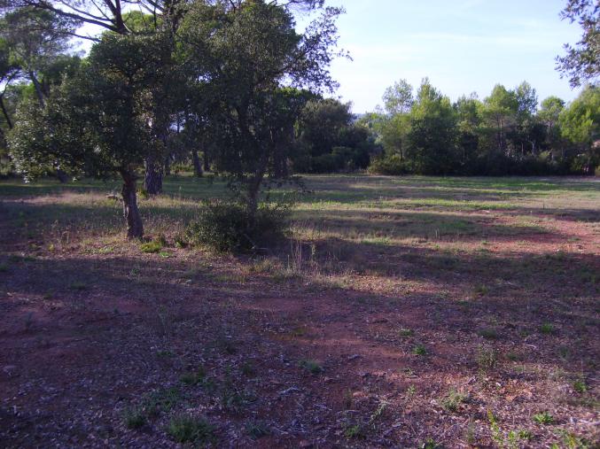 Beau Terrain au Cannet des Maures 83 Var