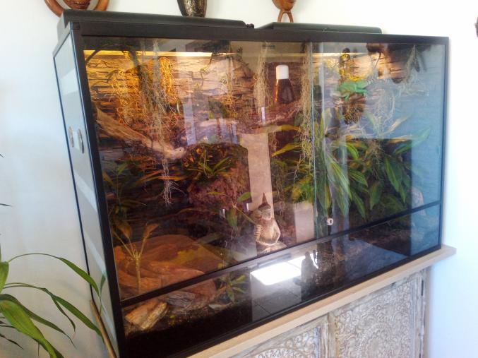 Urgent terrarium