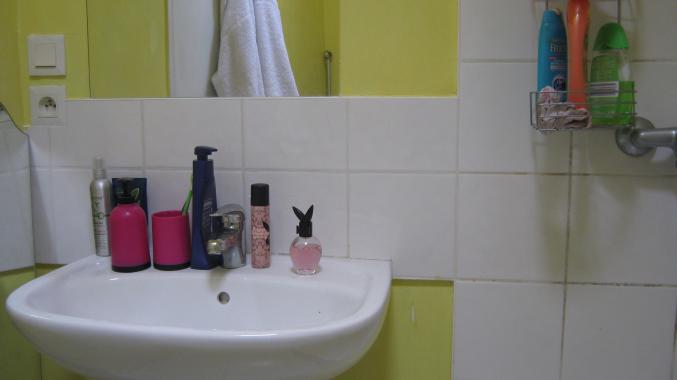 T1 BIS PROCHE ANGERS (sainte gemmes sur loire) 