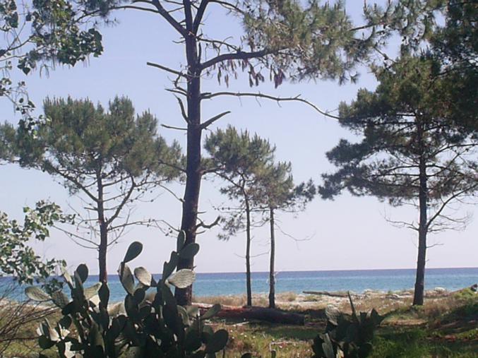 Vacances " pieds dans l'eau "