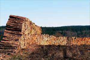 Vends bois de chauffage