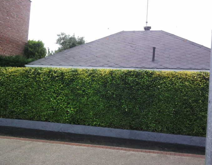 ENTREPRISE ARTISAN PAYSAGISTE