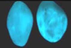 Pierre de taille et rocher fontaine